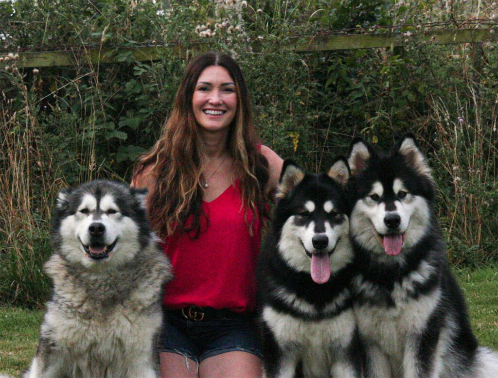 Alaskan Malamute -